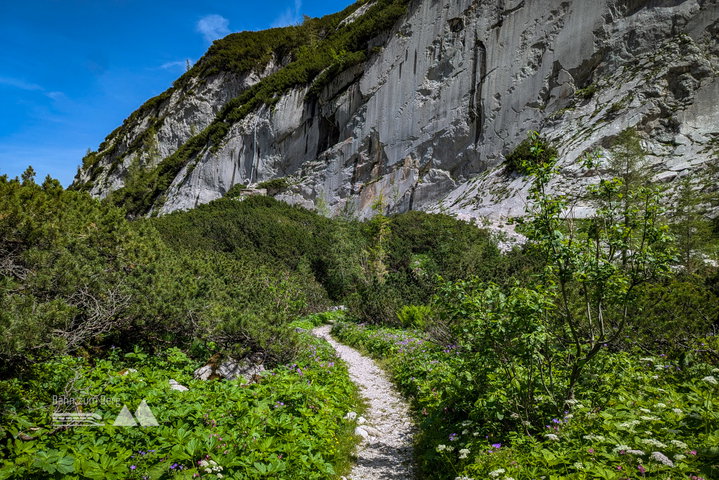 Auf dem Rückweg in Richtung Blaueishütte. Fotos: Maresa Brandner