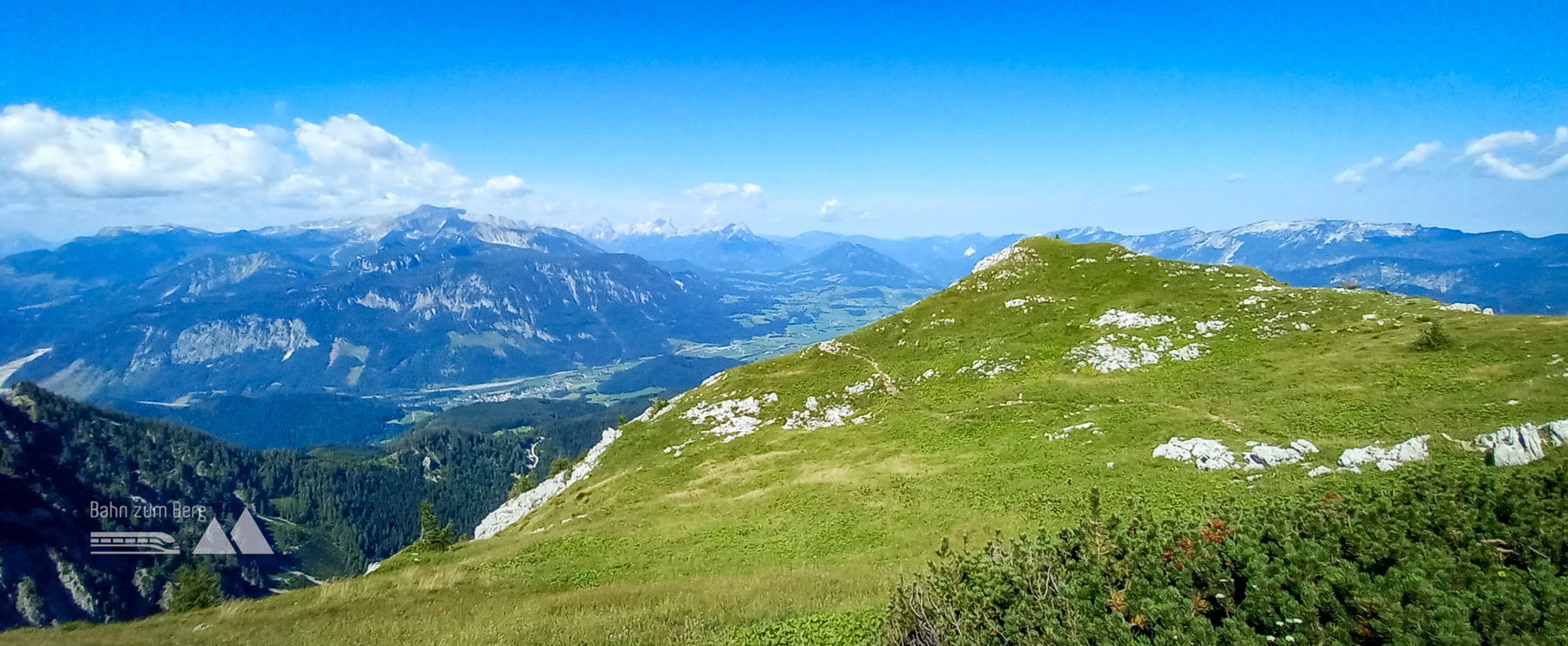 Wiese vor dem Schlussanstieg. Foto: Martina Friesenbichler