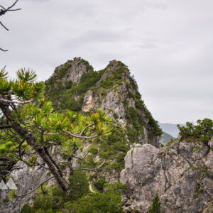 Goppaschrofen via Bazora