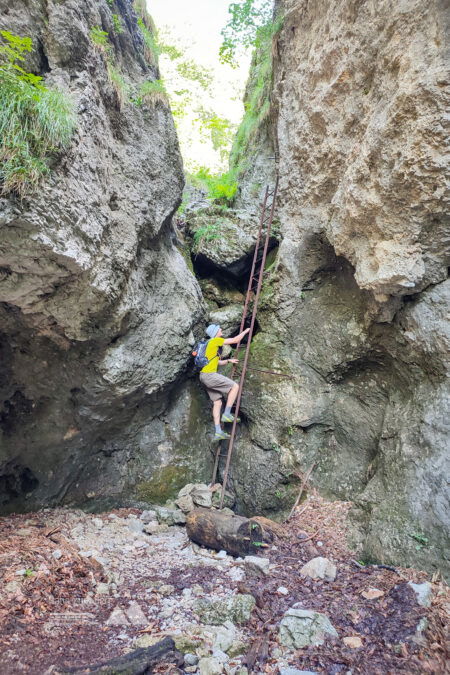 Durch die Weichtalklamm. Fotos: Simon Widy, Samuel Gerhartinger