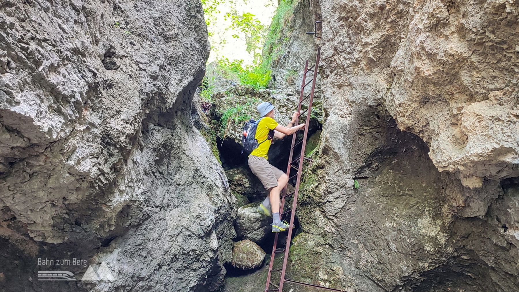 Weichtalklamm. Foto: Samuel Gerhartinger