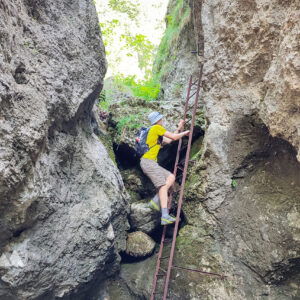 Durch die Weichtalklamm auf den Schneeberg und über den Fadensteig nach Losenheim