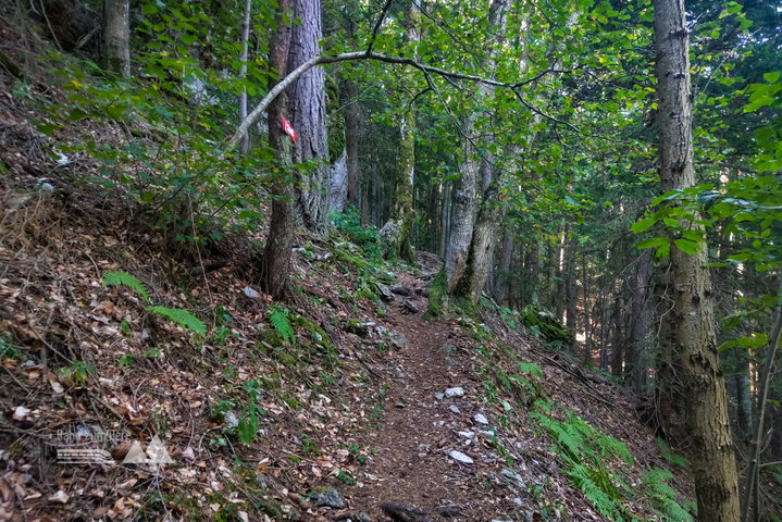 Abzweigung auf den steilen Pichlersteig. Fotos: Simon Widy