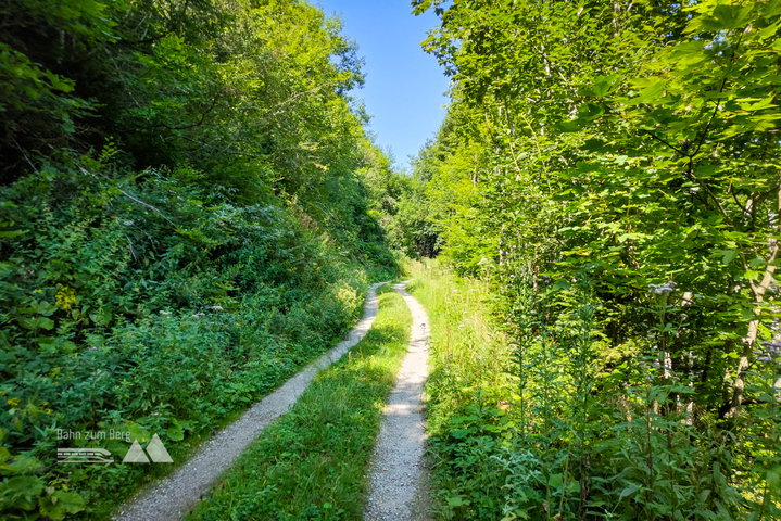 Über die Forststraße kommen wir zur Bergstation des Sessellifts. Fotos: Simon Widy