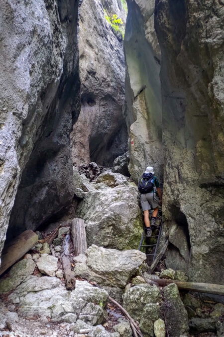Durch die Weichtalklamm. Fotos: Simon Widy, Samuel Gerhartinger