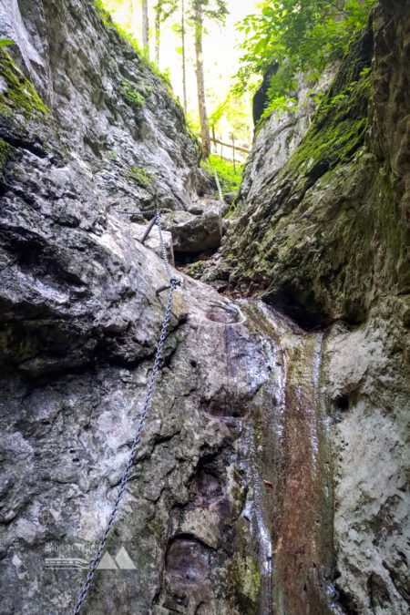 Durch die Weichtalklamm. Fotos: Simon Widy, Samuel Gerhartinger