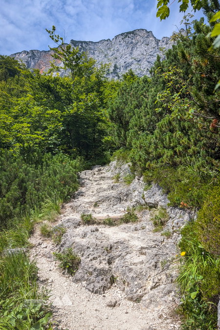 Die steilen 300 Höhenmeter vor der Toni-Lenz-Hütte führen über einen stufigen Weg in die Sonne. Fotos: Maresa Brandner