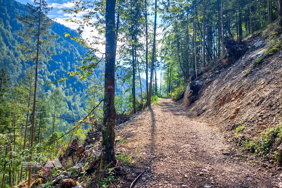 Wanderweg in Richtung Hoisnradalm und Gamsöfen. Foto: Alice Frischherz