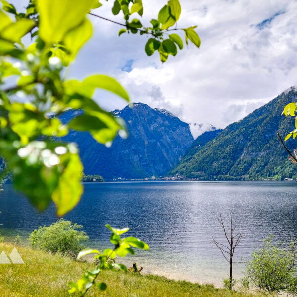 Wieder Sonnenschein nach dem Regen und ein weiterer traumhafter Blick auf den See: vom Ostufer nach Westen blickend. Foto: Alice Frischherz