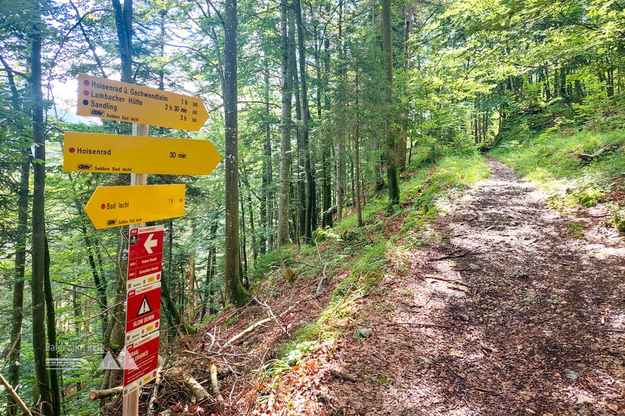Wegweiser. Foto: Alice Frischherz