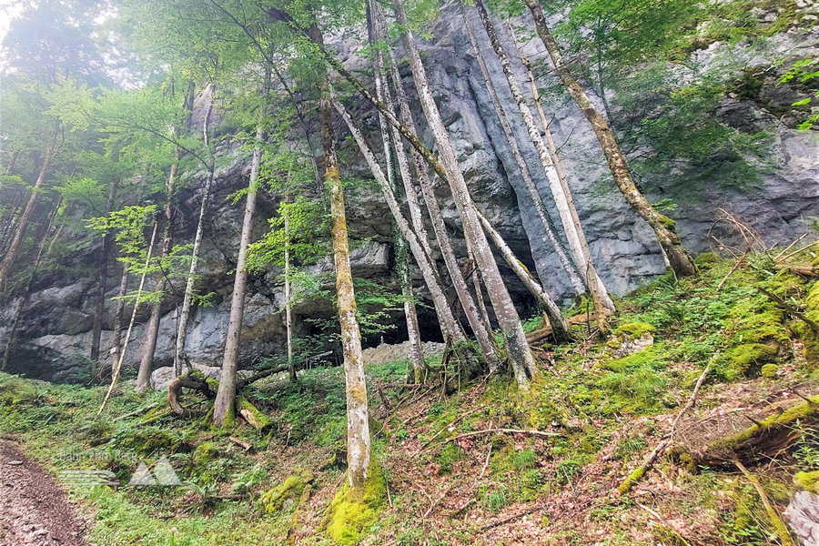 Rechts am Weg ragt die Felswand besonders hoch empor und hier befinden sich die Gamsöfen. Foto: Alice Frischherz