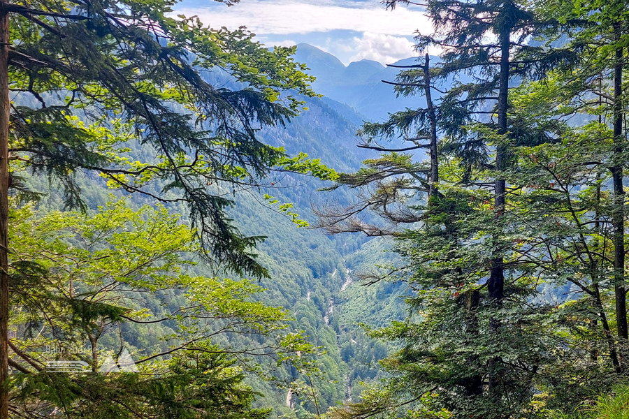 Aussicht bei den Gamsöfen. Foto: Alice Frischherz
