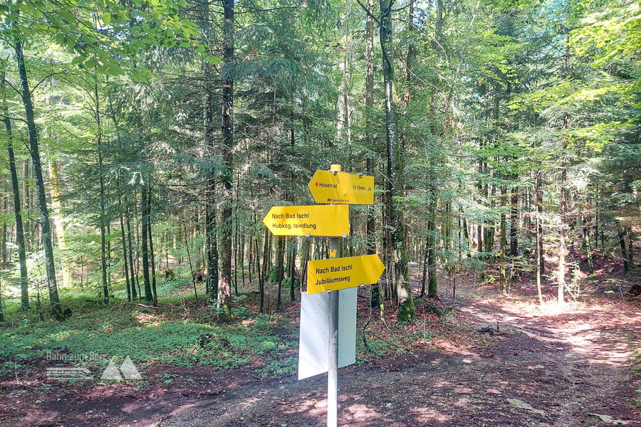 Abstieg über den Jubiläumssteig nach Bad Ischl. Foto: Alice Frischherz