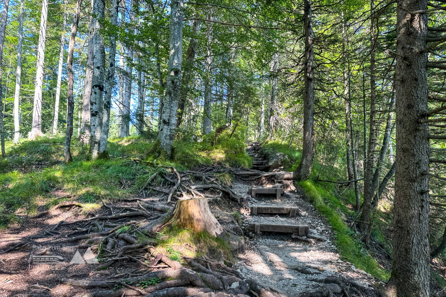Stufen zur Grünsteinhütte. Foto: Bernhard Walle