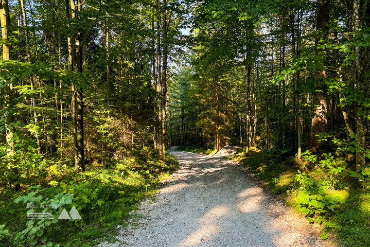 Weg ins Tal über Forstwege und am Ende über die Straße. Fotos: Bernhard Walle