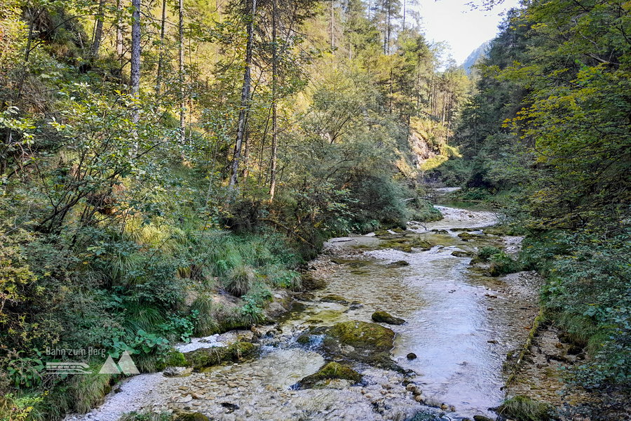 Der Höhepunkt der Wanderung ist die Mündungsschlucht des Rettenbachs. Foto: Veronika Lehner