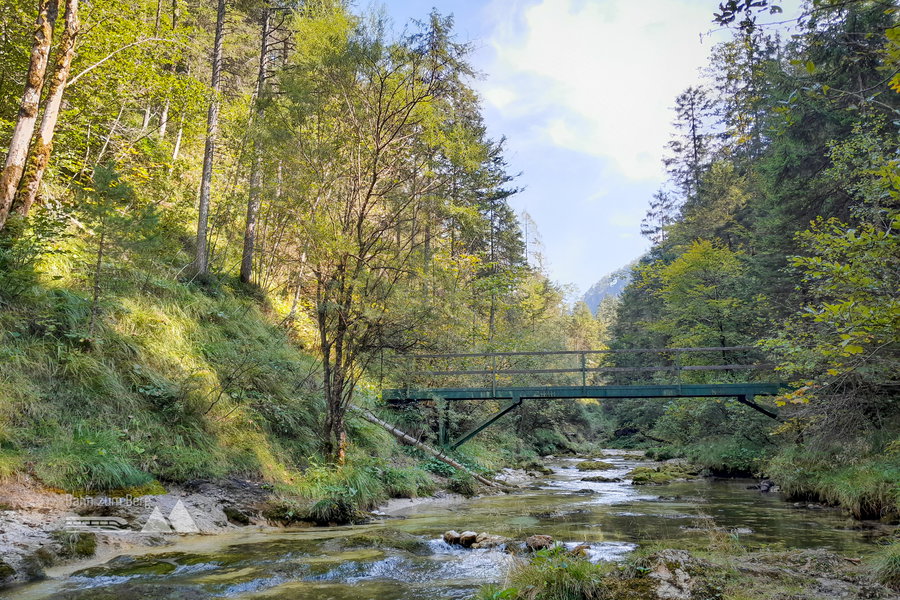 Eine kleine Brücke führt über den Vorderen Rettenbach. Foto: Veronika Lehner