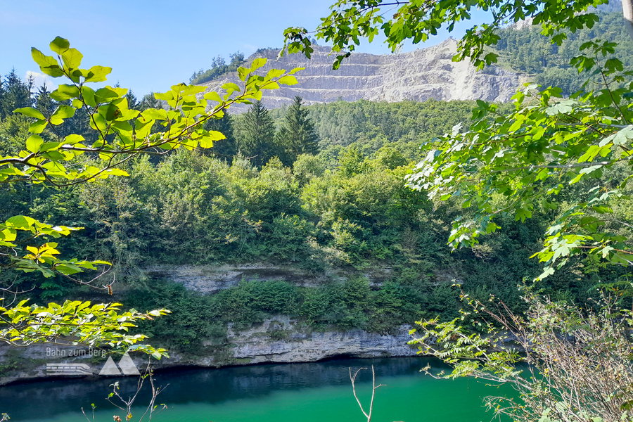 Konglomeratschichten. Foto: Veronika Lehner