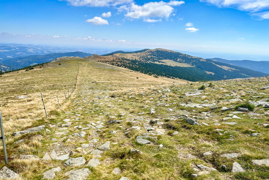So sieht der herrliche Weiterweg ab Wetterkoglerhaus aus. Foto Veronika Schöll