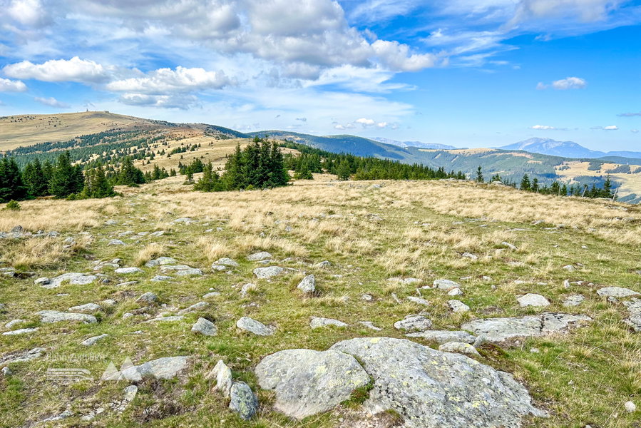 Rückblick zum Hochwechsel. Foto Veronika Schöll