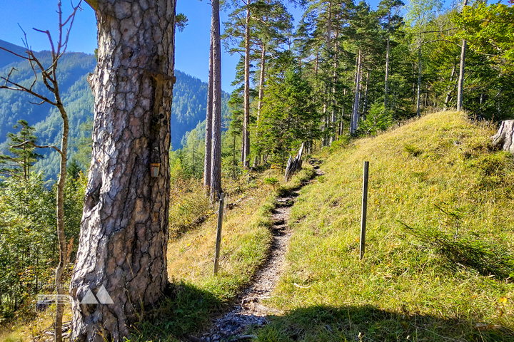 Steig zum Waldhüttsattel. Fotos: Simon Widy