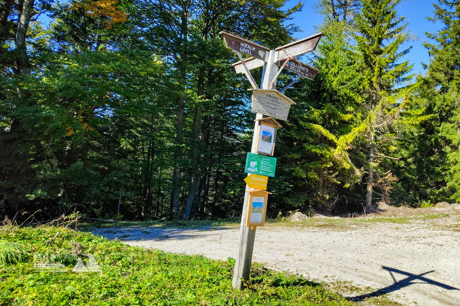 Wegweiser am Waldhüttsattel. Foto: Simon Widy