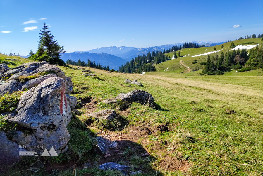 Blick zur Kohlröserlhütte auf der Hofalm. Foto: Simon Widy