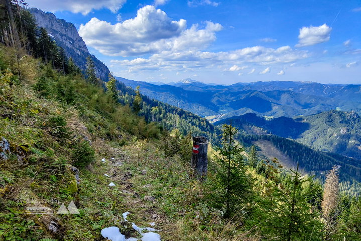 Abstieg am Treibsteig. Foto: Simon Widy