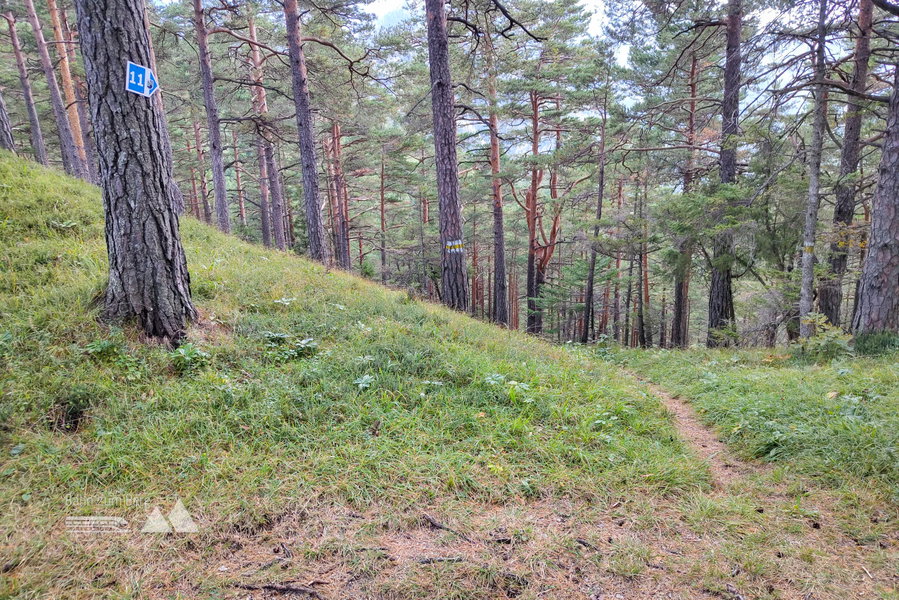 Der Weg 11 führt nach Kernhof. Foto: Simon Widy