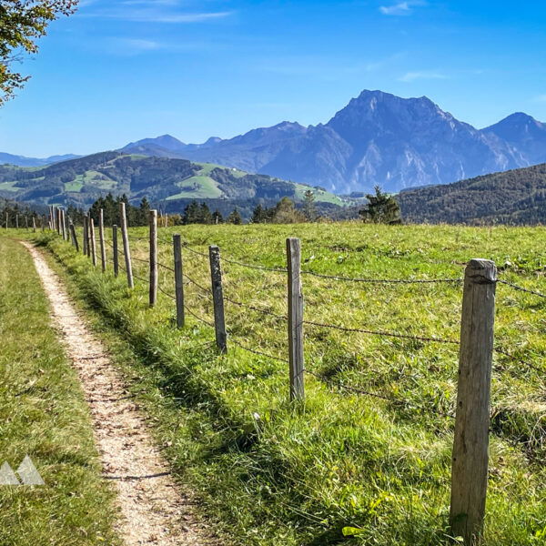 Wegweiser Richtung Hongar in Schaffling; Feldweg Richtung Hongar; Ausblick auf Traunstein. Fotos: Eva Maria Ginal