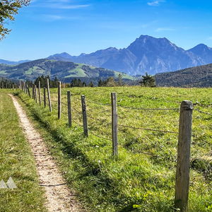 Genuss-Wandern: von Weyregg am Attersee nach Pinsdorf