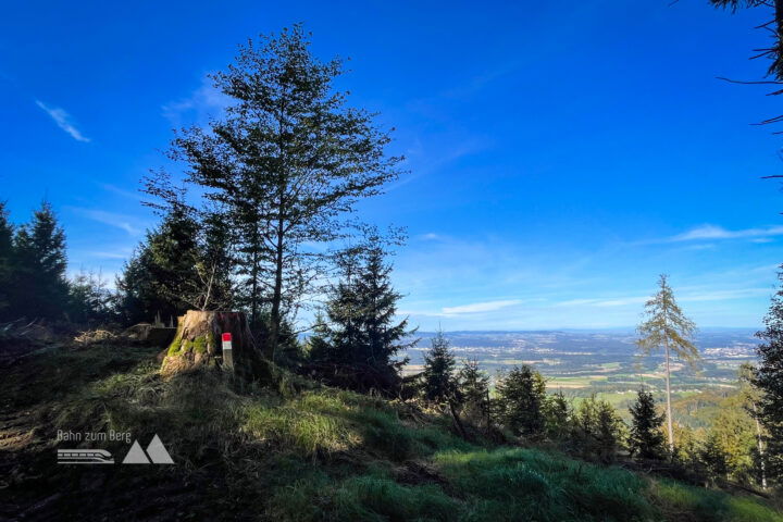Ausblick ins Alpenvorland bis ins Mühlviertel; entlang vom Feld- und Waldweg Richtung Kronberg. Foto: Eva Maria Ginal