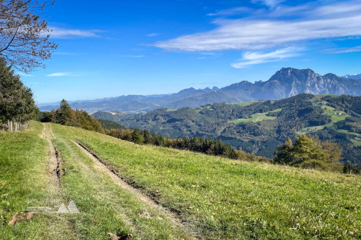 Ausblick ins Alpenvorland bis ins Mühlviertel; entlang vom Feld- und Waldweg Richtung Kronberg. Foto: Eva Maria Ginal