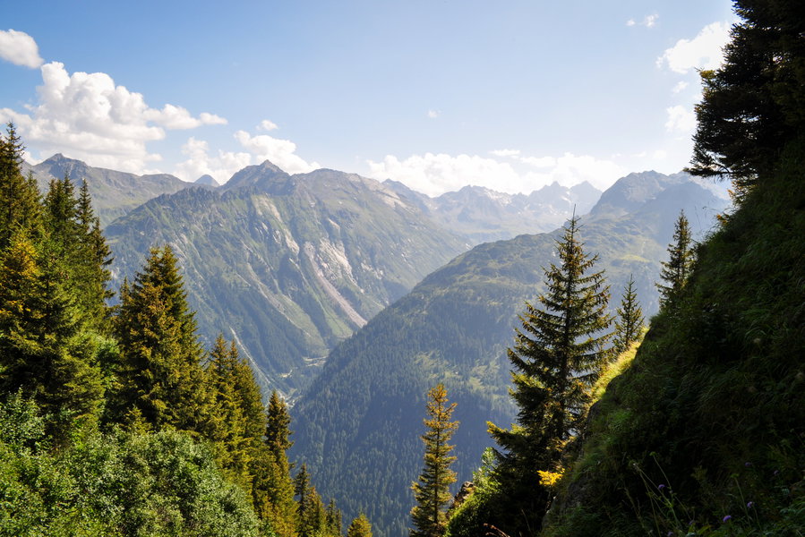 steiler Abstieg durch Fichtenwald mit Blick auf die Silvretta-Mure. Foto: Norman und Lisa