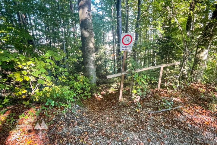 Einstieg nach Überquerung vom Forstweg Brandnerberg; Ende des Pfades mit Blick zurück. Fotos: Eva Maria Ginal