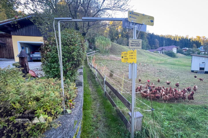 Einstieg nach Überquerung vom Forstweg Brandnerberg; Ende des Pfades mit Blick zurück. Fotos: Eva Maria Ginal