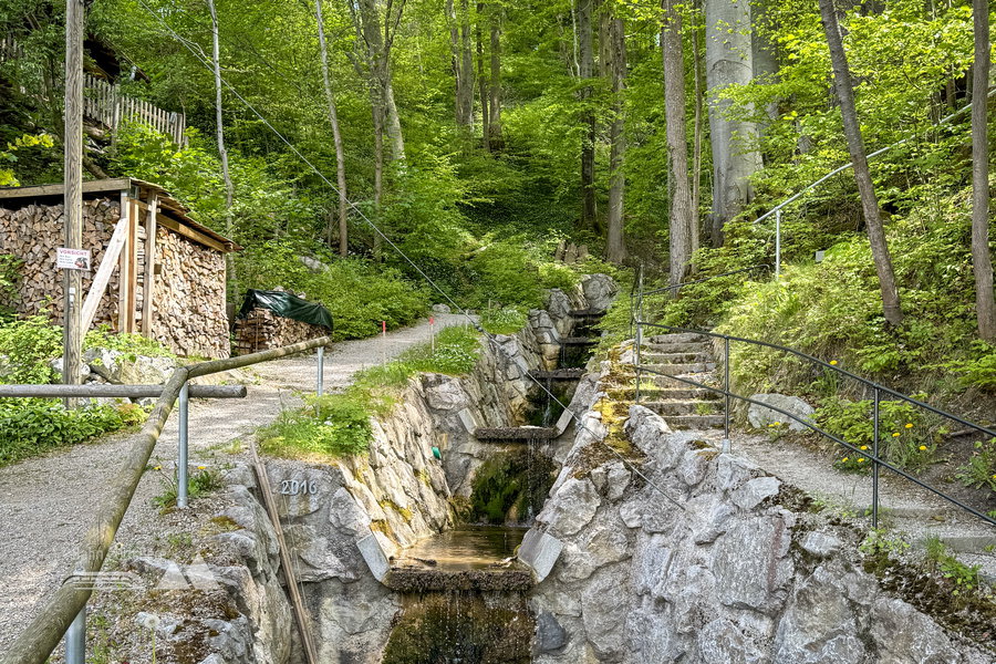 Hier geht’s dann von der Straße nach oben. Foto: Bernhard Walle