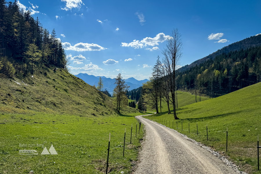 Forstweg, der Blick ist nach hinten gerichtet. Foto: Bernhard Walle