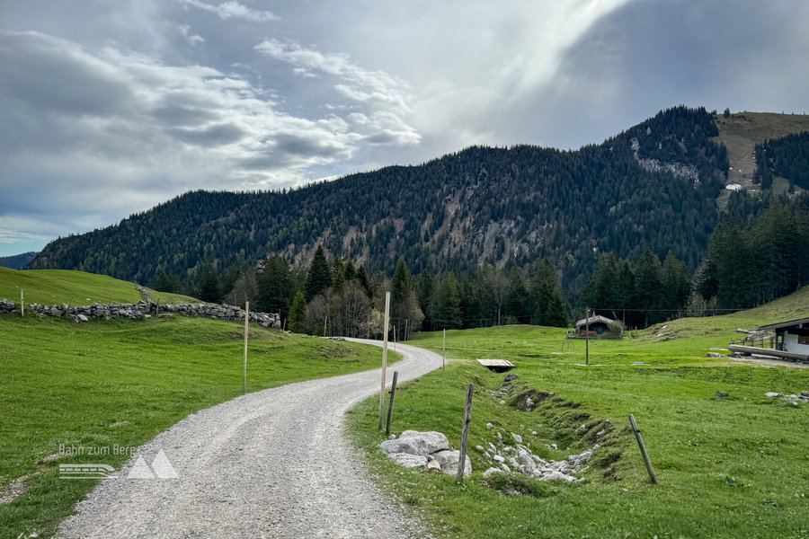 Forstweg nach unten. Foto: Bernhard Walle