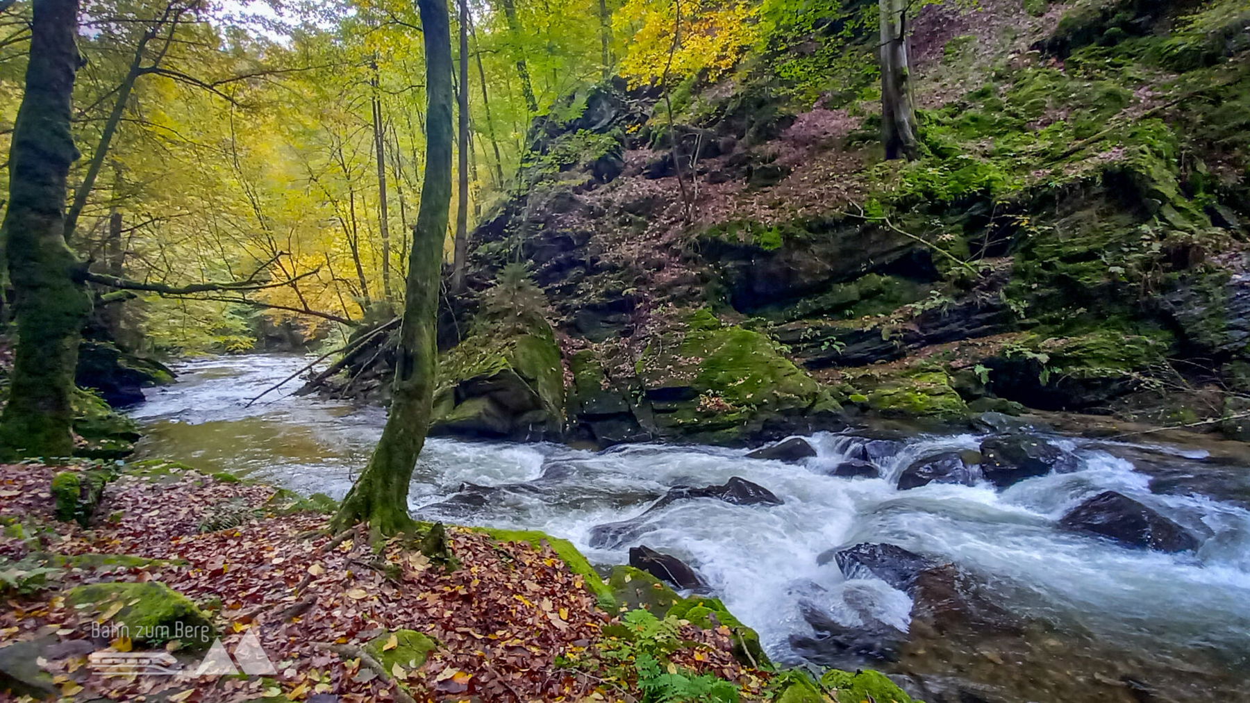 Das Rauschen der Laßnitz begleitet mich auf meinem Weg. Foto: Martina Friesenbichler