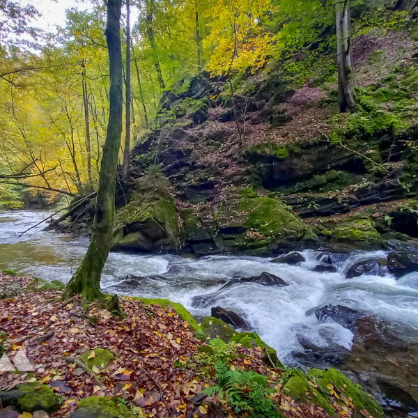 Das Rauschen der Laßnitz begleitet mich auf meinem Weg. Foto: Martina Friesenbichler
