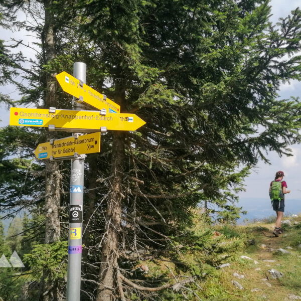 Es wird der Gsohlhirnsteig. Foto: Sarah Pallauf