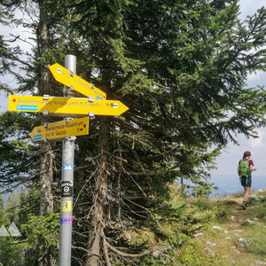 Ich und die Rax II: Dem Hagel entwischt (Wachthüttelkamm rauf und Gsolhirnsteig runter)