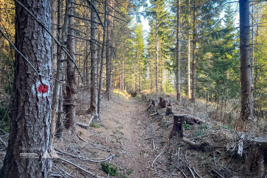 Weg nach Kirchberg. Foto: Ursula Truebswasser