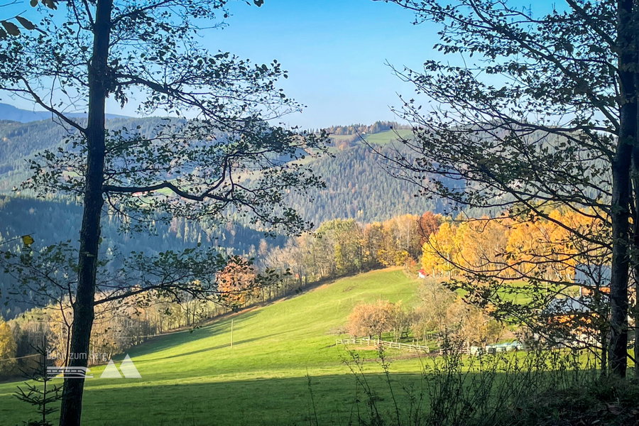 Herbstromantik am Weg nach Kirchberg. Foto: Ursula Truebswasser