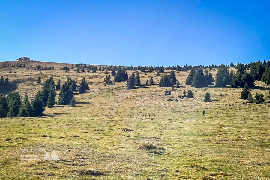 Blick zum Wetterkogelhaus am Hochwechsel. Foto: Ursula Truebswasser