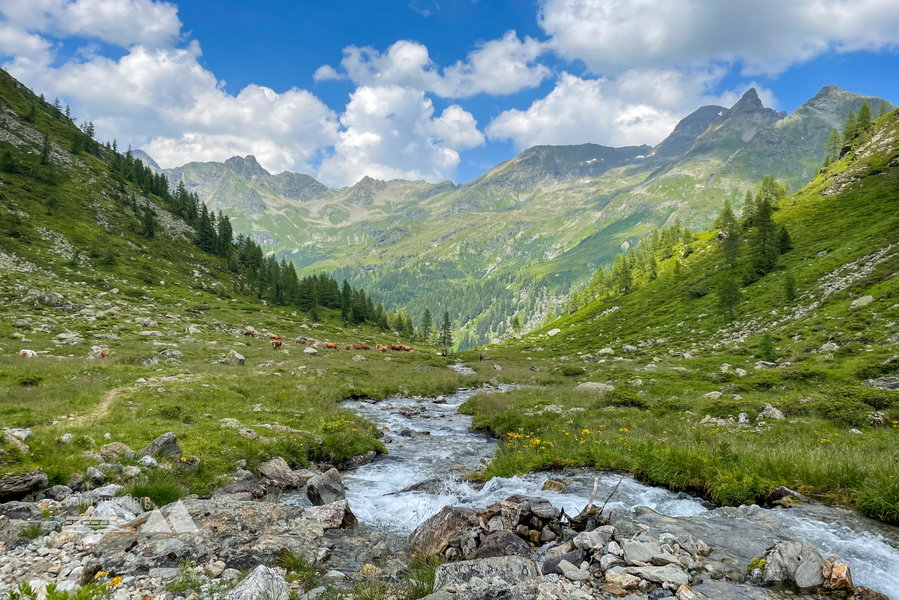 Ausblick auf die Route des nächsten Tages. Foto: POW AT