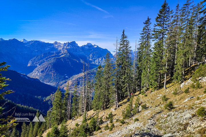 Schafreuter. Foto: Simon Widy