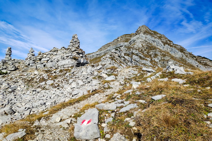 Schafreuter. Foto: Simon Widy