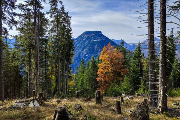 Schafreuter. Foto: Simon Widy